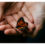 Hiệu ứng cánh bướm: Đổi đời từ những hành động không liên quan tưởng chừng là nhỏ nhất.